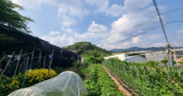 경기도 남양주시 수동면 송천리 OOOOO O OOO 임야 경매 물건 이미지