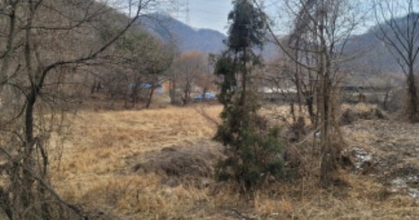 충청남도 천안시 동남구 광덕면 원덕리 OOO 답 경매 물건 이미지