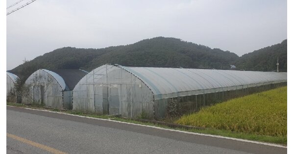 경상북도 안동시 남후면 개곡리 OOO O OOO 답 경매 물건 이미지