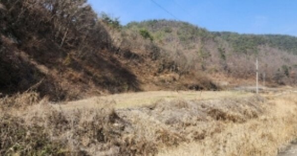 경상북도 안동시 남선면 신흥리 OO 답 경매 물건 이미지