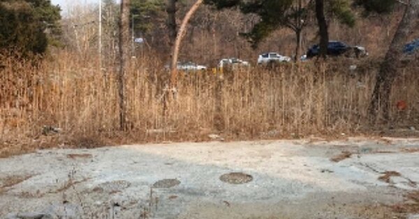 서울특별시 도봉구 쌍문동 OOOOOO 임야 경매 물건 이미지