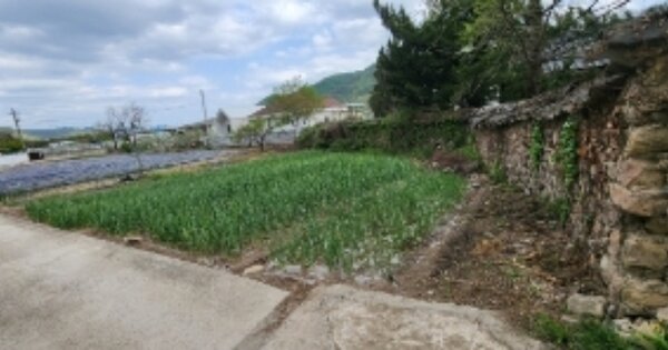 경상북도 안동시 일직면 조탑리 OO O OOO 단독주택 경매 물건 이미지