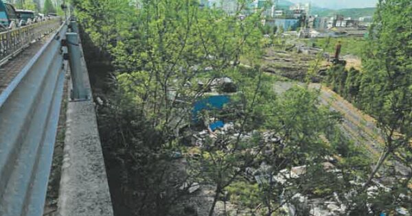 울산광역시 울주군 온양읍 발리 OOO 임야 경매 물건 이미지