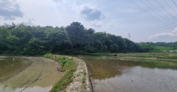 충청남도 아산시 도고면 와산리 OOOOO O OOO 임야 경매 물건 이미지
