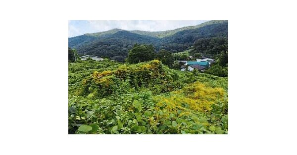 울산광역시 울주군 두서면 전읍리 OOOO O OOOO 단독주택 경매 물건 이미지