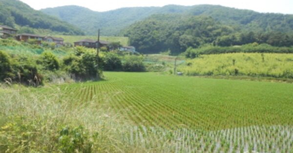 세종특별자치시 전동면 송성리 OOOOO 답 경매 물건 이미지
