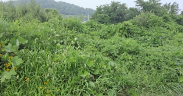 충청남도 아산시 인주면 신성리 OOO 임야 경매 물건 이미지