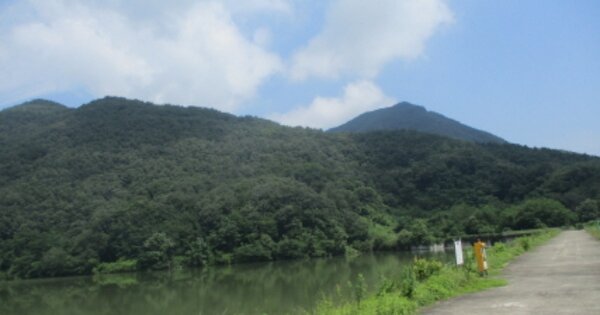 충청남도 금산군 남이면 석동리 OOOO 임야 경매 물건 이미지