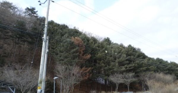 강원도 원주시 지정면 판대리 OOOOO O OOO 임야 경매 물건 이미지