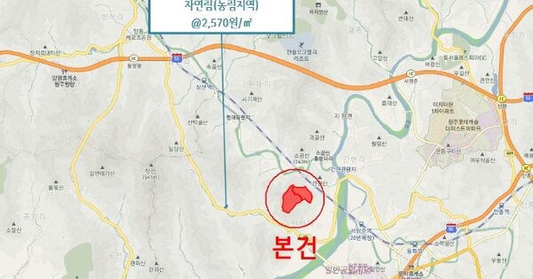 강원도 원주시 지정면 안창리 OOOOO 임야 경매 물건 이미지