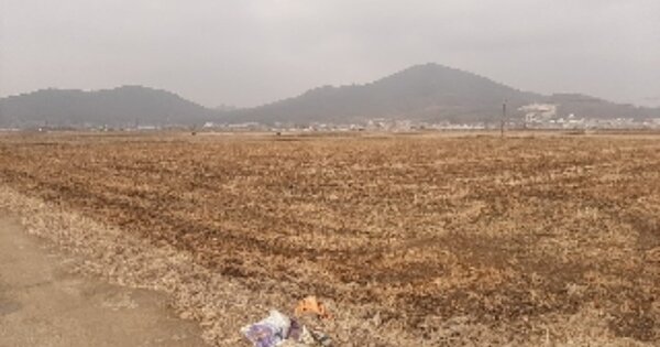 인천광역시 강화군 하점면 신봉리 OOOOOOO 답 경매 물건 이미지