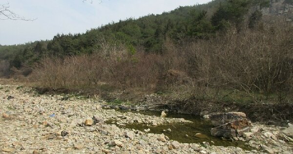 전라남도 영광군 백수읍 길용리 OOOO 임야 경매 물건 이미지