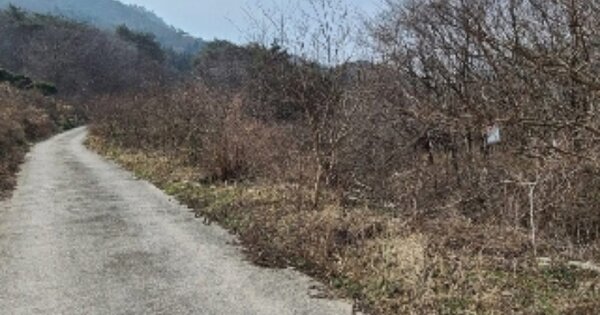 전라남도 영광군 백수읍 길용리 OOO 묘지 경매 물건 이미지