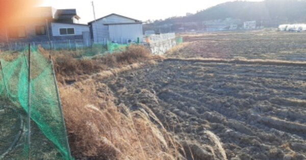 인천광역시 강화군 삼산면 매음리 OOO 전 경매 물건 이미지