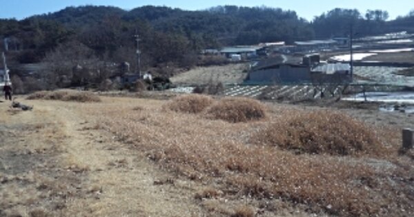 경상남도 창녕군 도천면 도천리 OOO 전 경매 물건 이미지