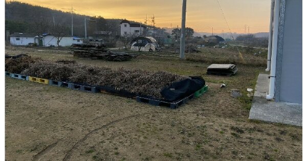 충청남도 서산시 성연면 명천리 OOOOO O OOO 답 경매 물건 이미지