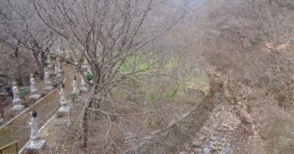 경상남도 의령군 의령읍 하리 OOO O OOOO 답 경매 물건 이미지
