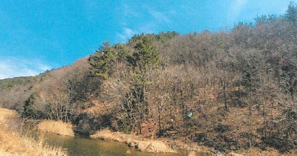 경상남도 거제시 둔덕면 산방리 OO 임야 경매 물건 이미지