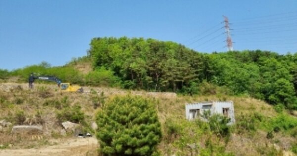 경상북도 경주시 양남면 상계리 OOO 임야 경매 물건 이미지
