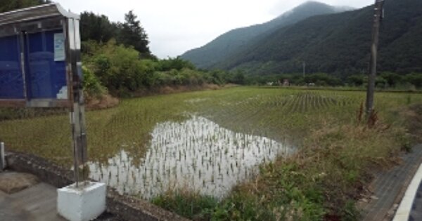 경상남도 창녕군 길곡면 길곡리 OOOOOO 답 경매 물건 이미지