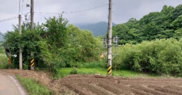 충청남도 청양군 화성면 장계리 OOOOO 답 경매 물건 이미지