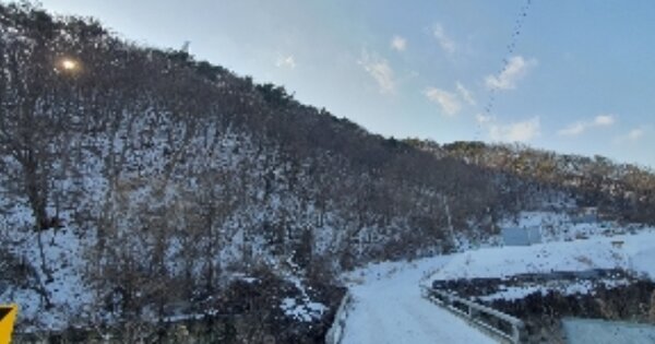충청북도 옥천군 군서면 사양리 OOO 임야 경매 물건 이미지