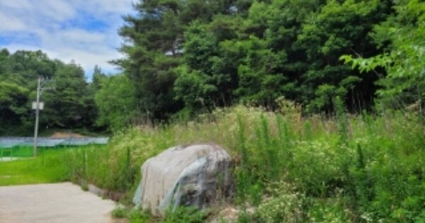 경상북도 영주시 장수면 호문리 OOO 전 경매 물건 이미지