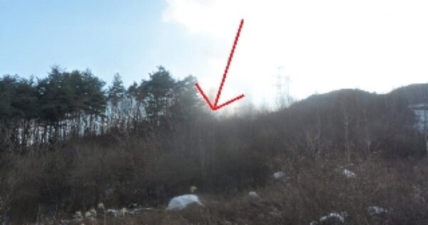 강원도 평창군 대화면 신리 OOOOOO 전 경매 물건 이미지