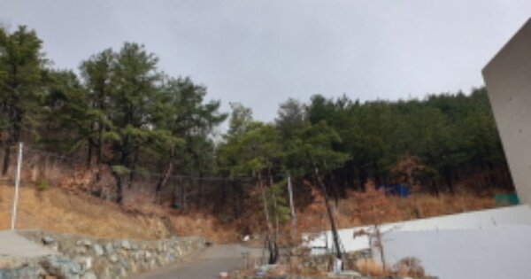 울산광역시 북구 천곡동 OOOOO O OOO 임야 경매 물건 이미지