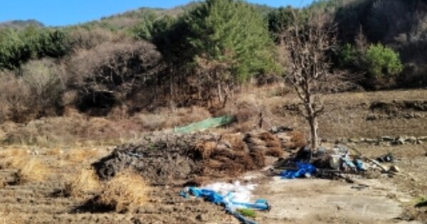 경상북도 봉화군 춘양면 애당리 OOO O OOO 답 경매 물건 이미지