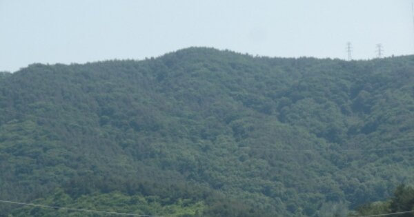 전라남도 보성군 벌교읍 마동리 OOOO 임야 경매 물건 이미지