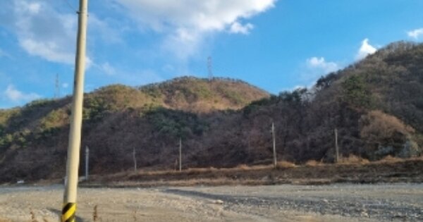 경상북도 경주시 문무대왕면 안동리 OOOO 임야 경매 물건 이미지
