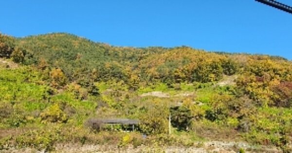 경상남도 의령군 부림면 권혜리 OOOOO 임야 경매 물건 이미지