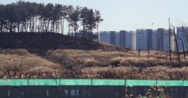 경상북도 포항시 남구 동해면 약전리 OOOOO 답 경매 물건 이미지