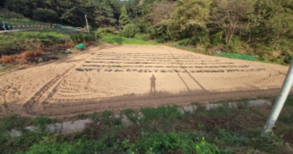 경상남도 고성군 마암면 보전리 OOO O OOO 전 경매 물건 이미지
