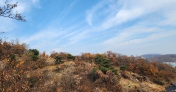경기도 광주시 태전동 OOO O OOO 임야 경매 물건 이미지