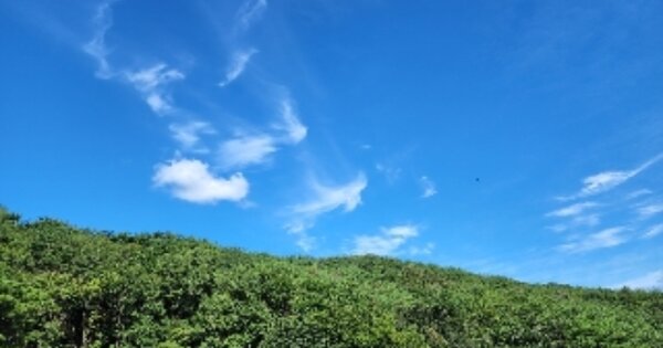 울산광역시 북구 대안동 OOOO 임야 경매 물건 이미지