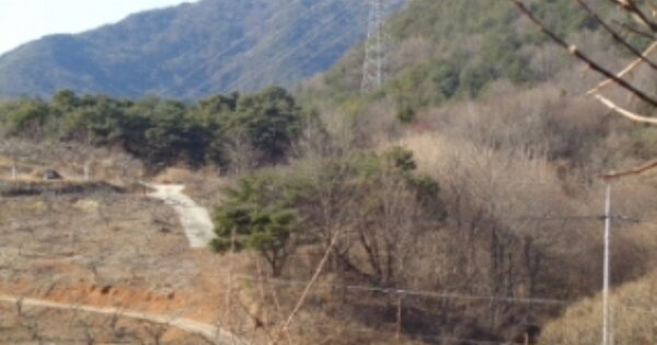 경상남도 산청군 단성면 길리 OOO 임야 경매 물건 이미지