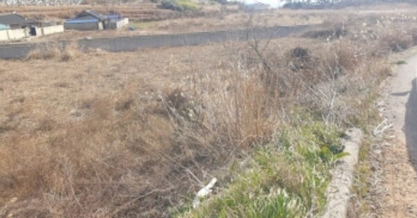 전라남도 고흥군 봉래면 외초리 OO 전 경매 물건 이미지