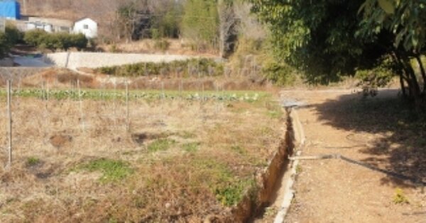 전라남도 고흥군 도덕면 가야리 OO 전 경매 물건 이미지