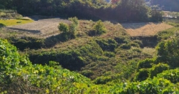 전라남도 곡성군 죽곡면 원달리 OOO 답 경매 물건 이미지