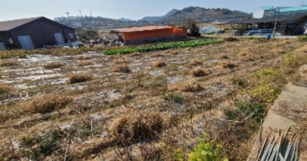 전라남도 영광군 법성면 법성리 OOO 전 경매 물건 이미지