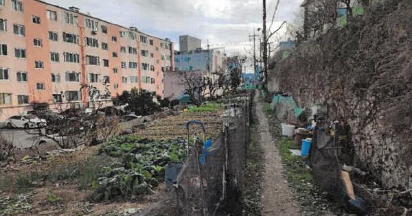 광주광역시 남구 주월동 OOOOOO 전 경매 물건 이미지