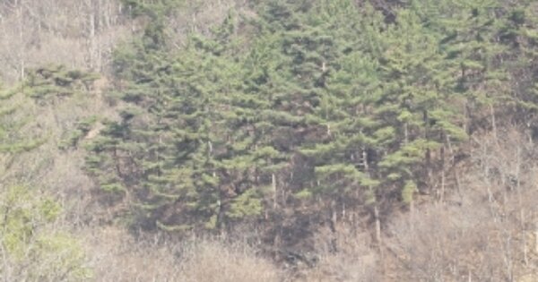 경상남도 밀양시 청도면 구기리 OOOO 답 경매 물건 이미지