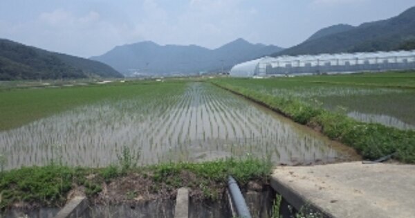 경상남도 창녕군 부곡면 청암리 OOOOOO 답 경매 물건 이미지