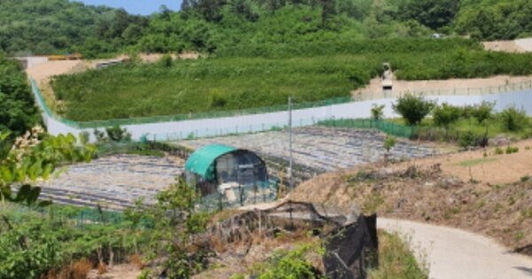 경상북도 김천시 문당동 OOOOO 답 경매 물건 이미지