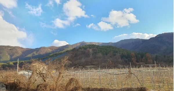 경상남도 밀양시 산내면 임고리 OOO 임야 경매 물건 이미지