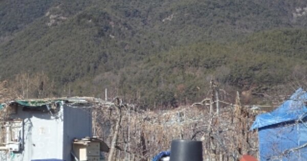경상남도 밀양시 산내면 봉의리 OOOOO O OOO 답 경매 물건 이미지