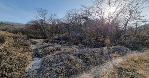 충청남도 예산군 신양면 황계리 OOO O OOO 임야 경매 물건 이미지