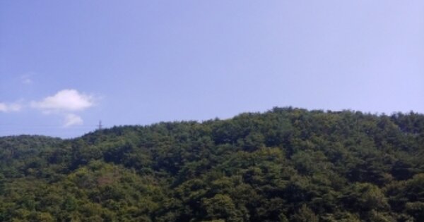 경상남도 고성군 개천면 나선리 OOOO 임야 경매 물건 이미지